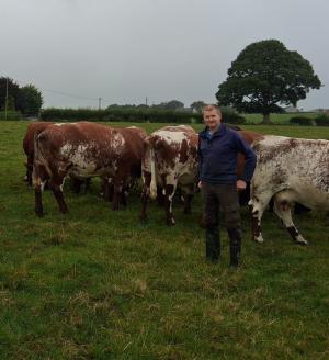 Combined enterprises working well for Tynan