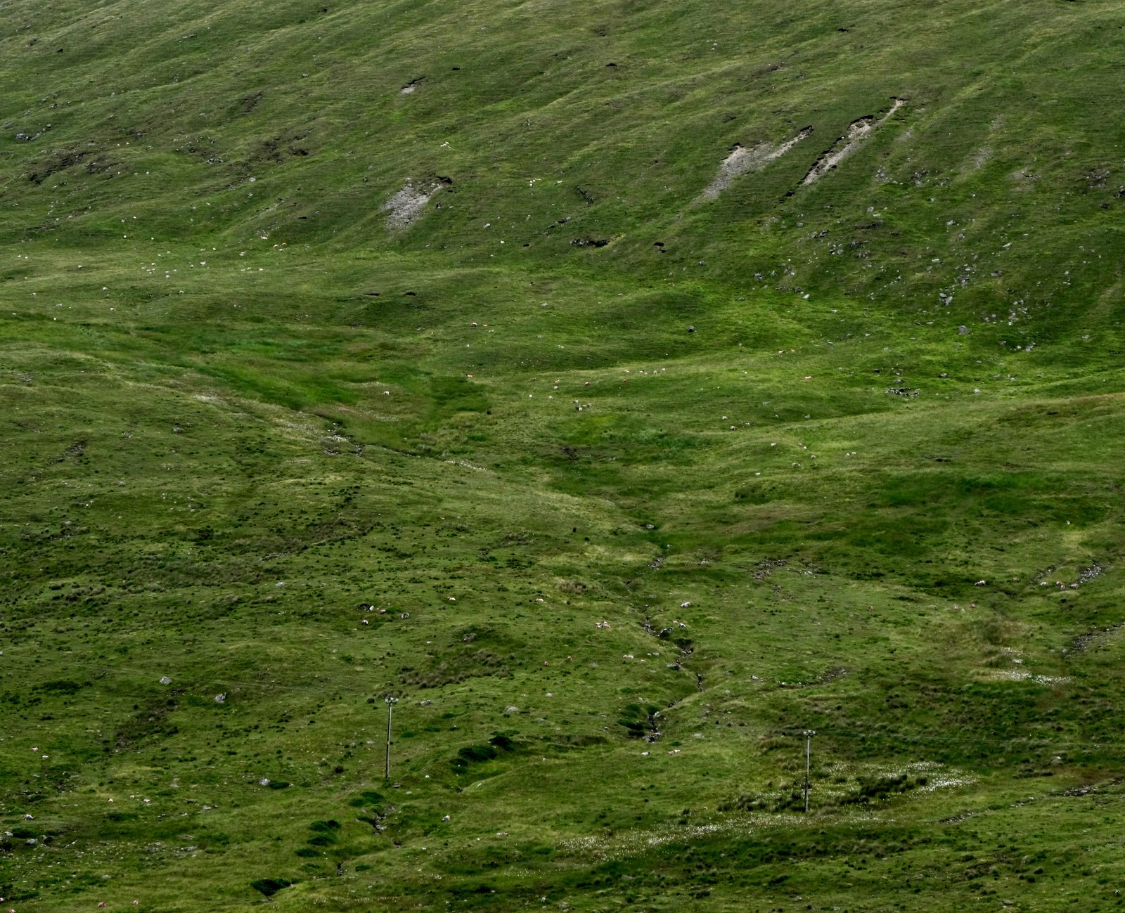 The headwaters of the River Bann