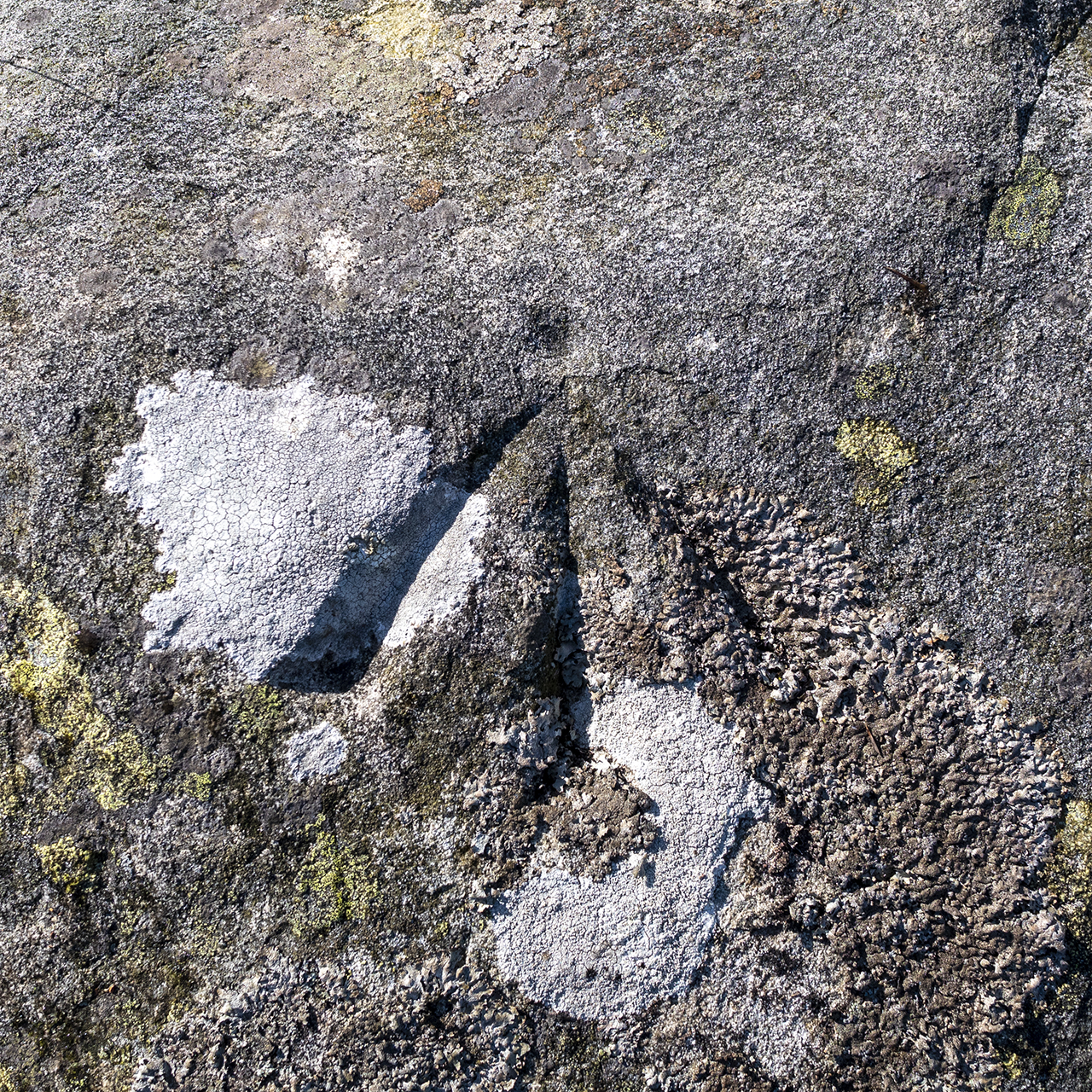 Bench Mark, Slieve Gullion