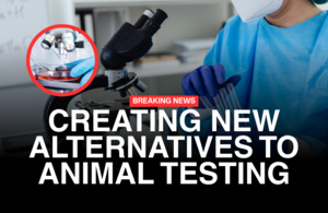 Patients to benefit from faster access to medicines as UK moves away from animal testing in science