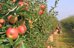New support to help farmers thrive for generations